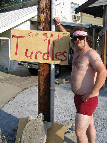 Turdle Dude
